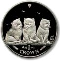 1 Crown (Exotic Shorthair Kittens - Silver edition)