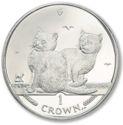 1 Crown (Balinese Kittens)