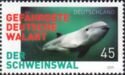 Harbour Porpoise (Phocoena phocoena)