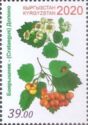 Hawthorn (Crataegus)
