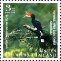 Rhinoceros Hornbill (Buceros rhinoceros), Hala-Bala Forest N