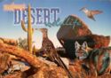 Desert Wildlife