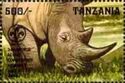 African Rhinoceroses