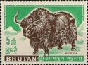 Yak (Bos mutus)