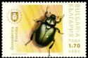 Hermit beetle (Osmoderma eremita)