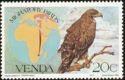 Tawny Eagle (Aquila rapax)