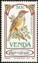 Kurrichane Thrush (Turdus libonyana)