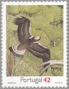 Imperial Eagle (Aquila heliaca)