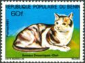 Domestic Cat (Felis silvestris catus)