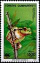 European Tree Frog (Hyla arborea)