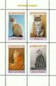 Cat breeds
