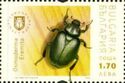 Hermit beetle (Osmoderma eremita)