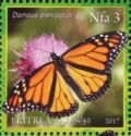 Monarch butterflies