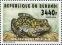 Crowned Bullfrog (Hoplobatrachus occipitalis)