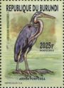 Purple Heron (Ardea purpurea)