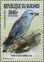 European Roller (Coracias garrulus)