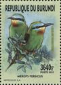 Blue-cheeked Bee-eater (Merops persicus)