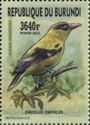Eurasian Golden Oriole (Oriolus oriolus)