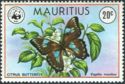 Citrus Butterfly (Papilio manlius)