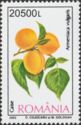 Apricot (Armeniaca vulgaris)
