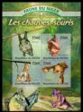 Fauna of Niger - Bats