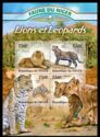 Fauna of Niger - Lions and Leopards