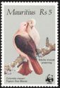 Pink Pigeon (Nesoenas mayeri)