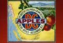 Advertisement - BC Apples
