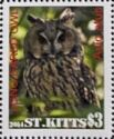 Owls Strigidae