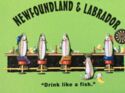 Newfoundland, Drink like a fish