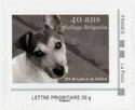 Brignais Animal Refuge. Lyon SPA. 40 years. Dog