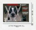Brignais Animal Refuge. Lyon SPA. 40 years. Dog