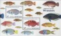 Norfolk Island Wrasses