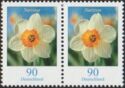 Narcissus (Narcissus poeticus)