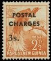 Raggiana Bird-of-paradise (Paradisaea raggiana) - overprint