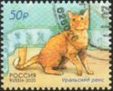 Cats (Ural Rex)