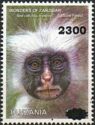 Zanzibar red colobus (Piliocolobus kirkii), Jozani Forest