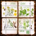 Polish Herbarium