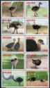 Ostriches - Block of 10
