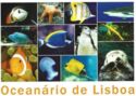 Lisbon Aquarium