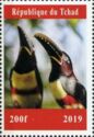 Birds Toucans