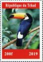 Birds Toucans