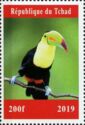 Birds Toucans