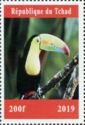 Birds Toucans