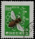 European Honey Bee (Apis mellifera), Honeycomb and Clover
