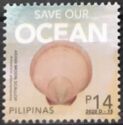 Save Our Ocean: Asian Moon Scallop