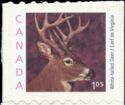 White-tailed Deer (Odocoileus virginianus) - booklet stamp
