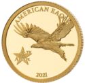 10 Dollars (35th Anniversary American Eagle Coinage)