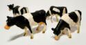 4 x Holstein / Friesians cows