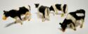 4 x Holstein / Friesians cows